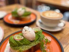 -Elephant Grounds(STARSTREET)