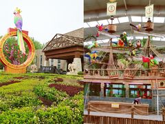 -南宫五洲植物乐园