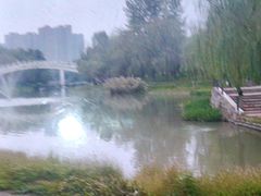 -温江公园