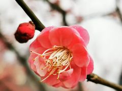 -重庆彩云湖湿地公园