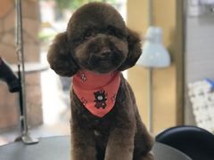 -喵汪宠物生活馆(涞坊路店)