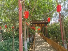 -草根堂农场