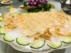 象拔蚌-强记海鲜·大排档(蛇口新街店)