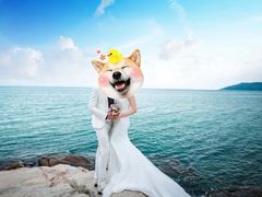 -碧桂园十里银滩