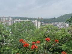 -佛山华盖山公园