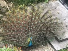 -苏州环秀晓筑养生度假村