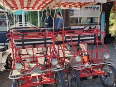 -上海海湾国家森林公园