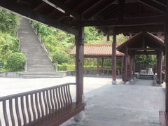 -铁山坪森林公园