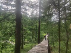 -苏木山森林公园