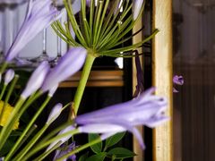 -红雀围·海鲜火锅(陆家嘴中心店)