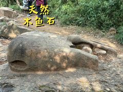 -上海佘山国家森林公园西佘山园