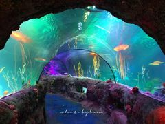 -沈阳海洋探索中心