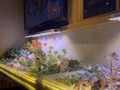 -街角等你.大连海鲜烧烤.经典铁板海鲜串(西安路店)
