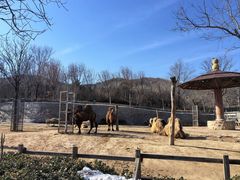 -石家庄市动物园