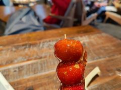 -长春堂顺时而饮(前门店)