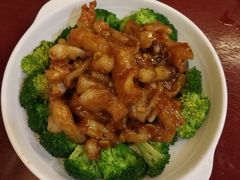 葱烧蹄筋-鸢飞潍坊菜馆(鸢飞大酒店)