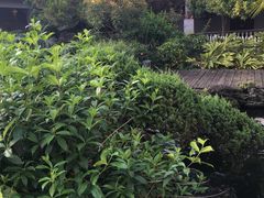 -聚福宝合苑食府(南头镇店)