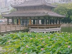 -孺子亭公园