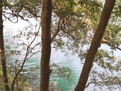 -广州市流溪河国家森林公园