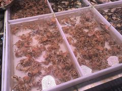 -桃源市场(解放路店)