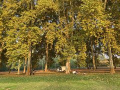 -河南省黄河迎宾馆