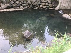 -白云源风景区