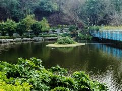 -重庆彩云湖湿地公园