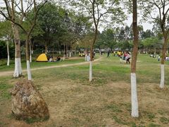 -火炉山森林公园