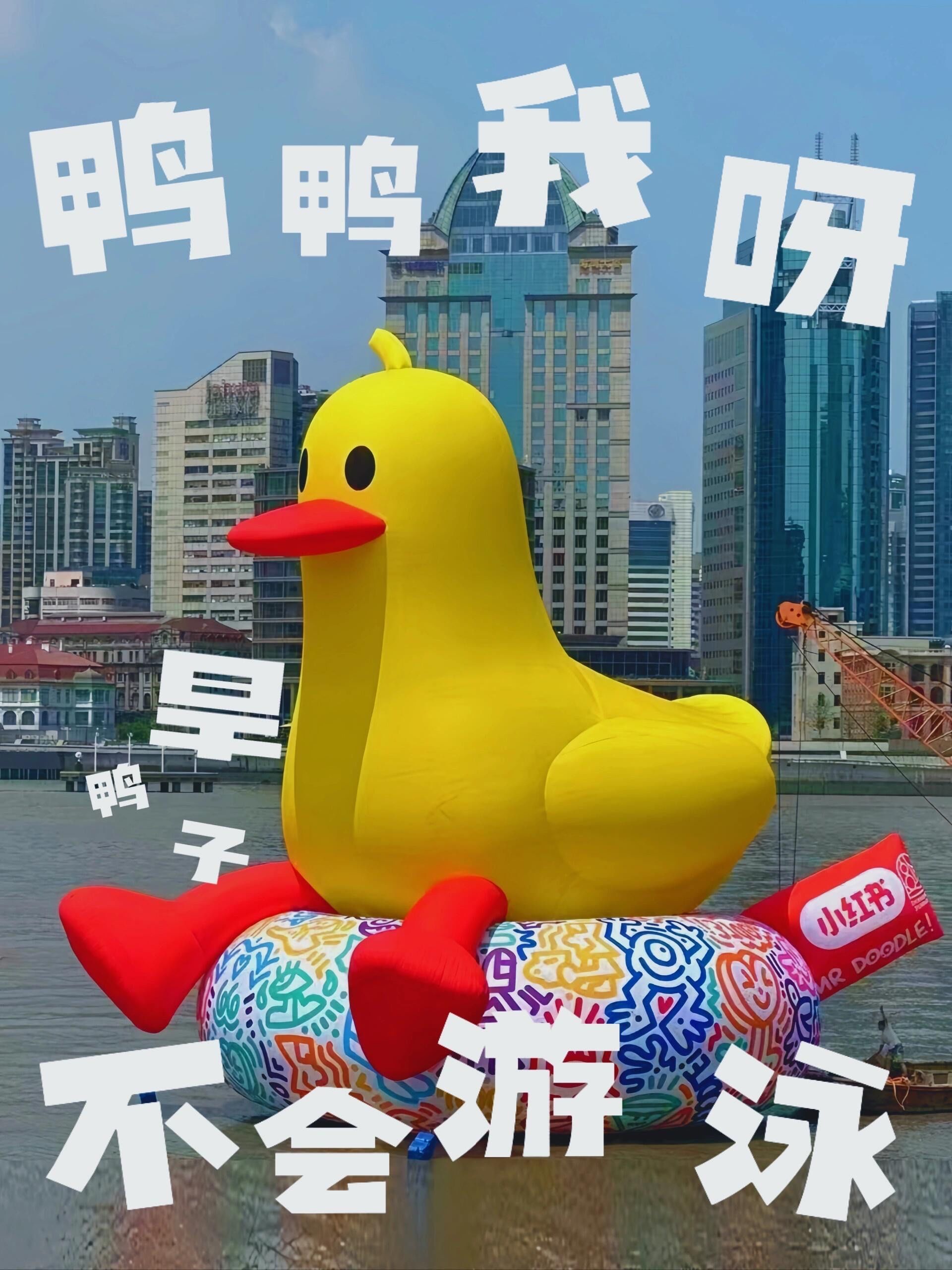 鸭鸭我呀🐥 旱鸭子🛟 不会游泳💦