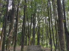 -广州市帽峰山景区