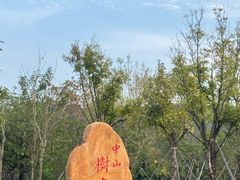 -中山市树木园