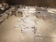 -洛阳周王城天子驾六博物馆