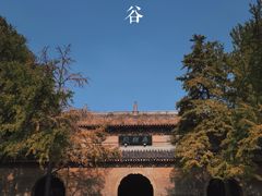 -灵谷景区