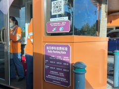-迪士尼乐园停车场
