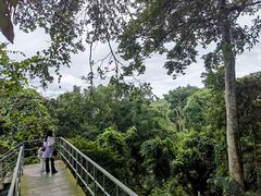 -海南霸王岭国家森林公园