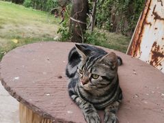 -济南轻骑摩托车有限公司(和平路)