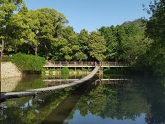 -黄陂区野村谷景区