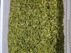 iphone_upload_pic-文雅轩茶叶(锦和越界田林坊店)