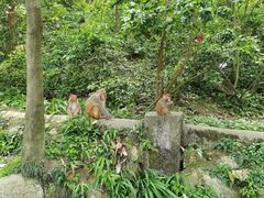 -黔灵山公园
