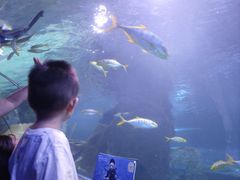 -太平洋海底世界