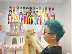 -青奢宠物·青奢猫舍