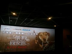 -卢米埃影城(合生广场IMAX店)