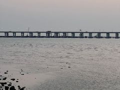 -宝安西湾红树林湿地公园