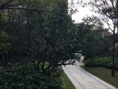 -南京市江宁方山