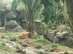 -海南热带野生动植物园