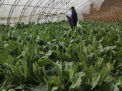 -万源龙顺度假庄园生态观光园