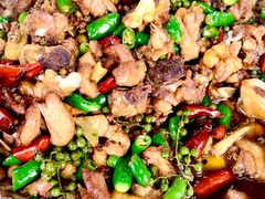 -铁山坪森林公园