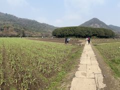 -八卦田遗址公园