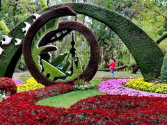 -上海共青森林公园