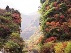 -少华山国家森林公园